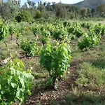 Alegria Rustica Bed & Breakfast 3*