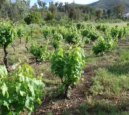 Alegria Rustica Bed & Breakfast 3*