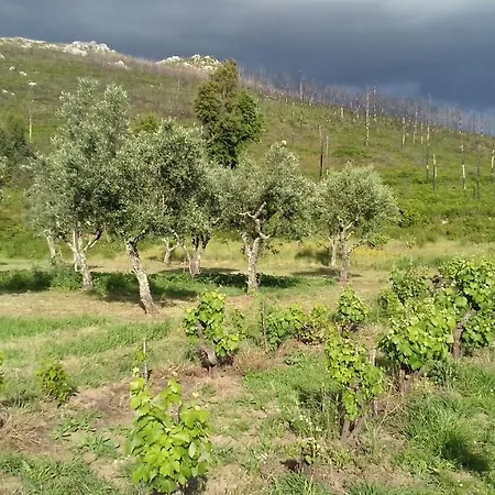 Alegria Rustica Nocleg ze śniadaniem Envendos