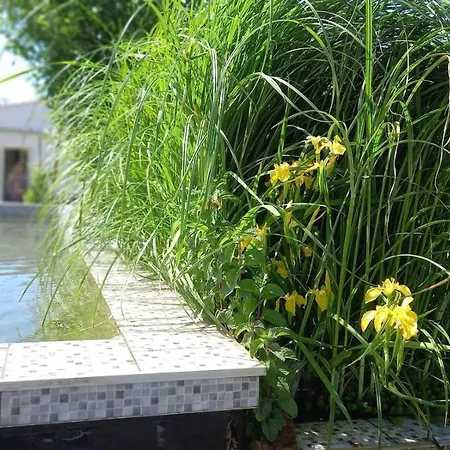 Bed & Breakfast Alegria Rustica 3*