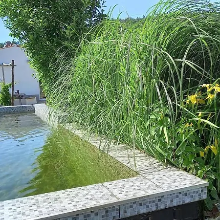 Bed & Breakfast Alegria Rustica Envendos