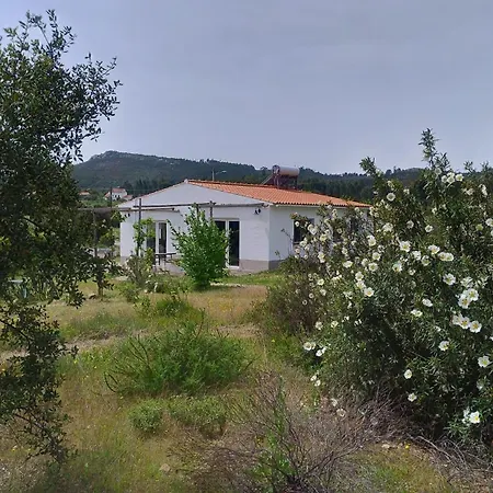 Alegria Rustica 3*