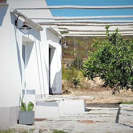 Alegria Rustica 3*