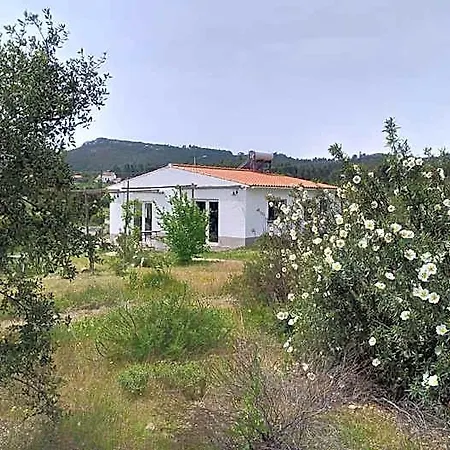 Alegria Rustica Envendos