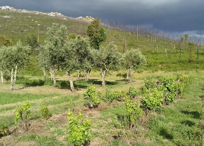 Alegria Rustica 住宿加早餐酒店 Envendos