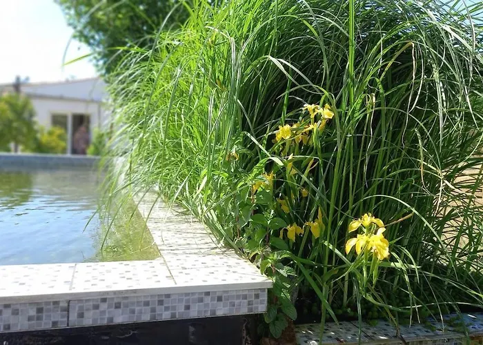 住宿加早餐酒店 Alegria Rustica 3*