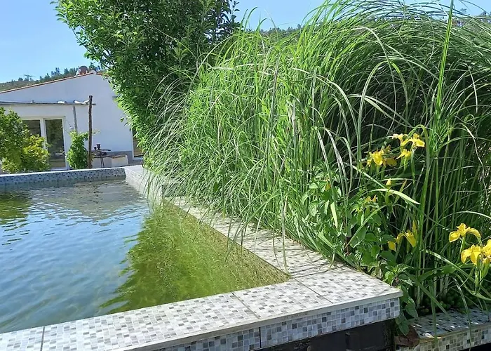 住宿加早餐酒店 Alegria Rustica Envendos